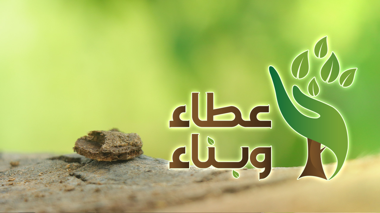 برنامج عطاء وبناء