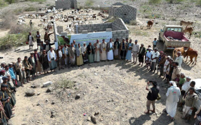 تعز .. تدشين المرحلة الأولى من مشروع التمكين الاقتصادي في الثروة الحيوانية بمقبنة