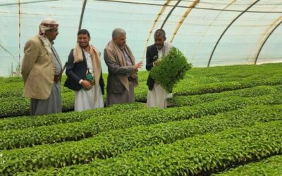 ذمار.. وفد قيادي يزور مشاتل “آجرو ستار” بجهران ويشيد بدورها في دعم الإنتاج الزراعي